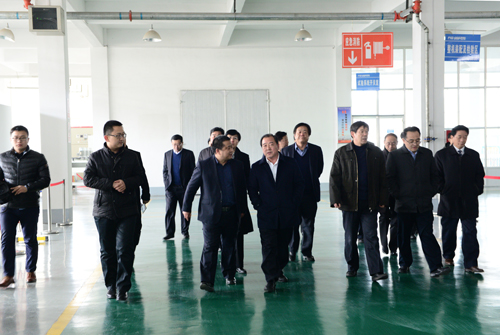 王顶岐参观考察华体会（中国）公司